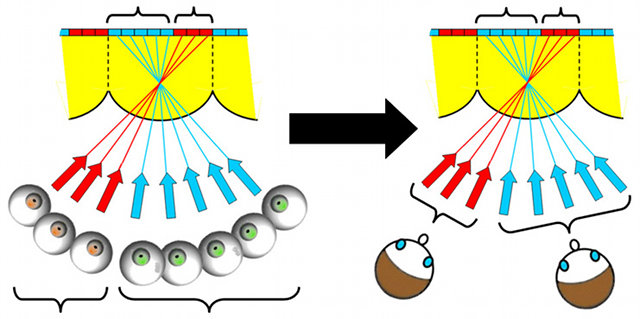 3dtau_multieye